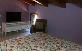 Beucarnea Apartment Salerno